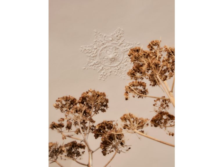 gallery News MDW2026_1