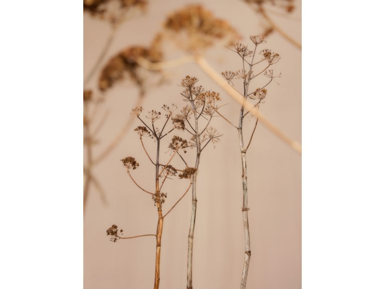 gallery News MDW2026