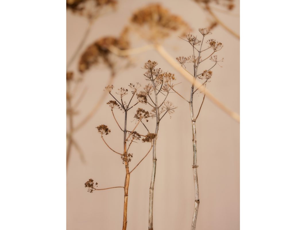 gallery News MDW2026